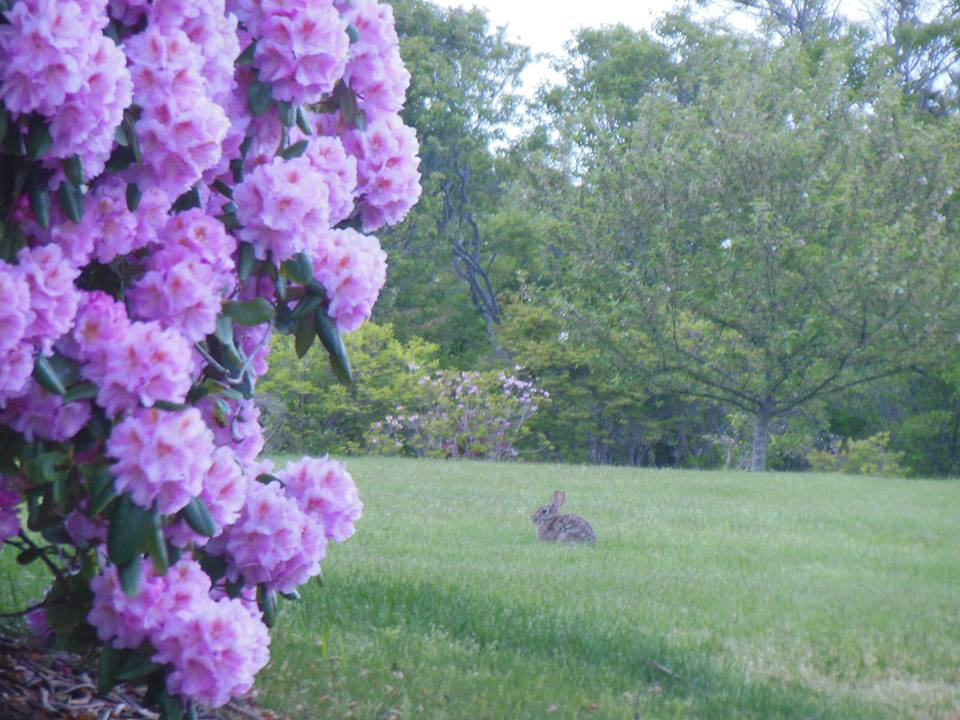 10410607_10204138000752875_4866560697502340600_n