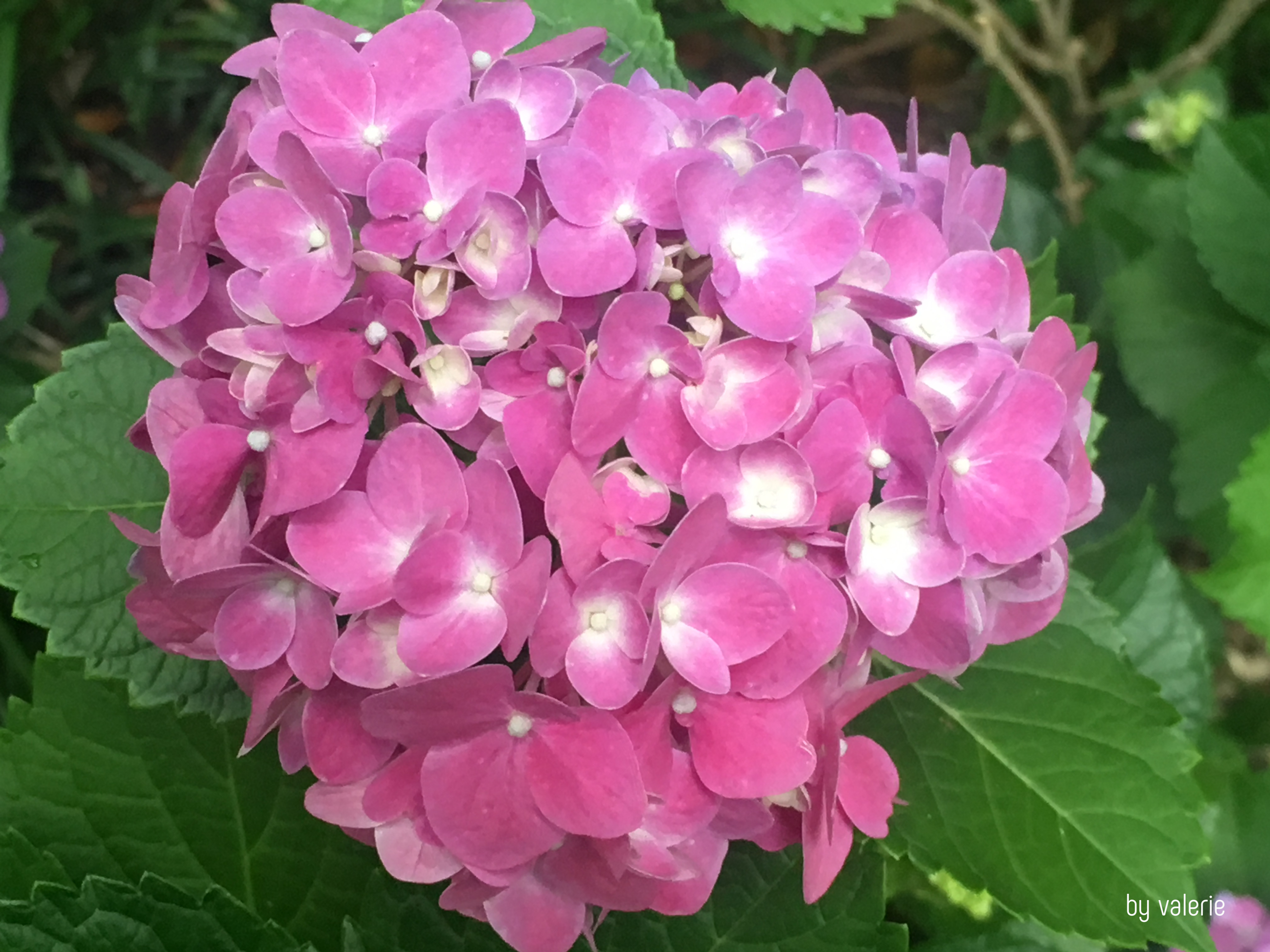 7dba61dd-a056-4af1-90ee-e6b375645a8e